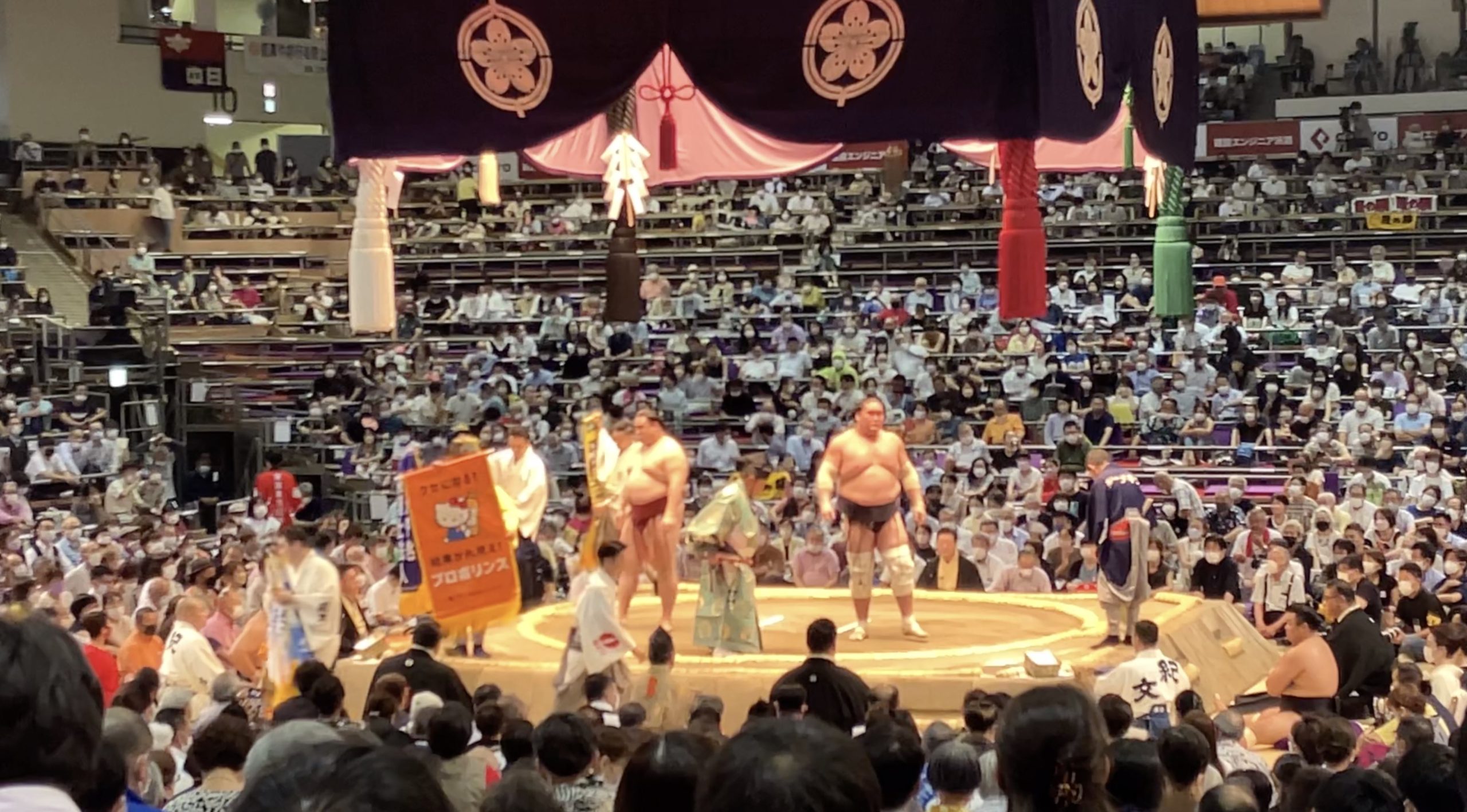 株式会社ピエラス 株式会社ピエラス